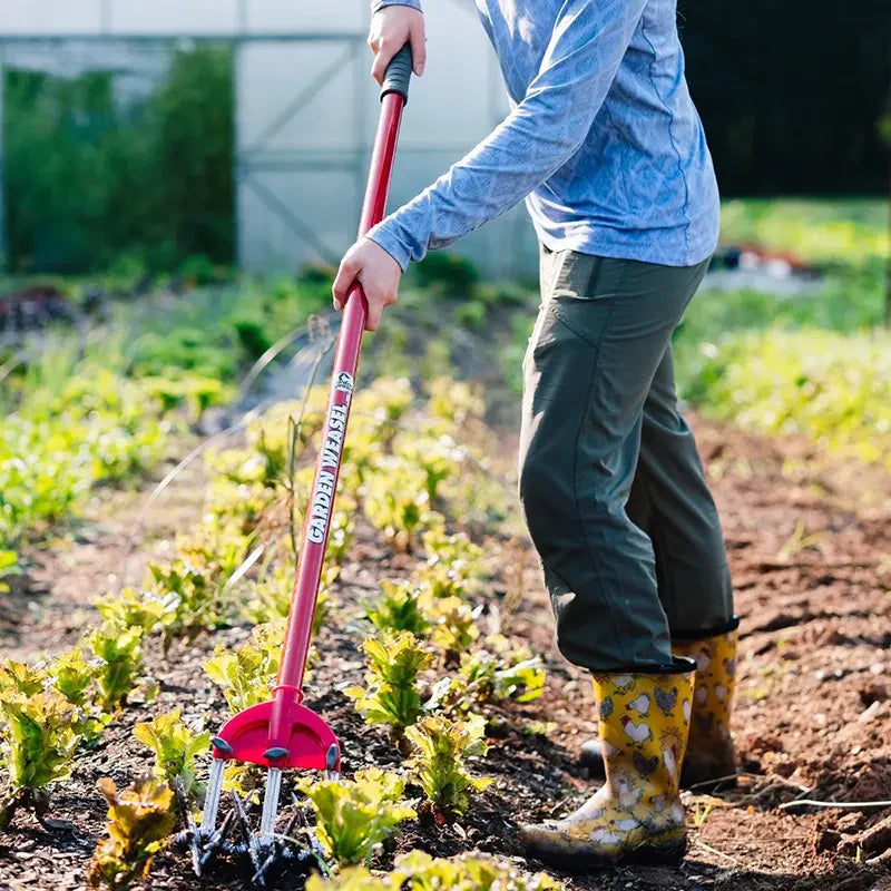 2-in-1 Rotor-Kultivator